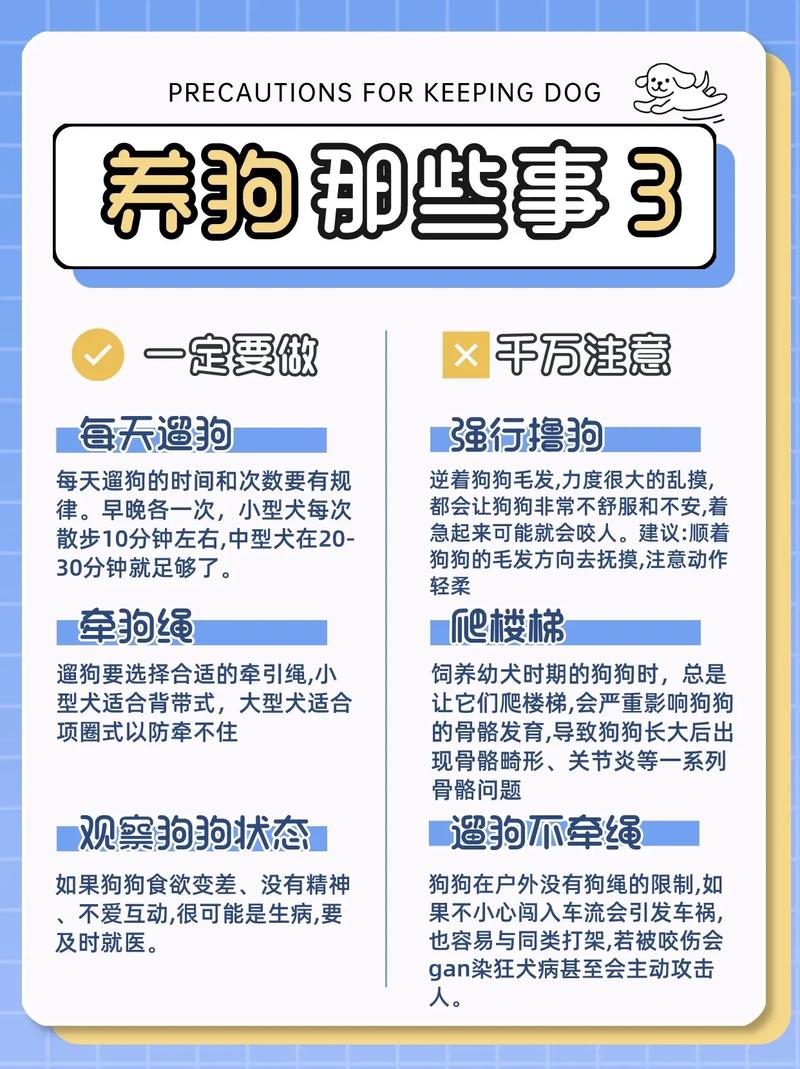 作为消费者“一个月的狗狗养的禁忌”你不能不知道-第4张图片 作为消费者“一个月的狗狗养的禁忌”你不能不知道-第4张图片