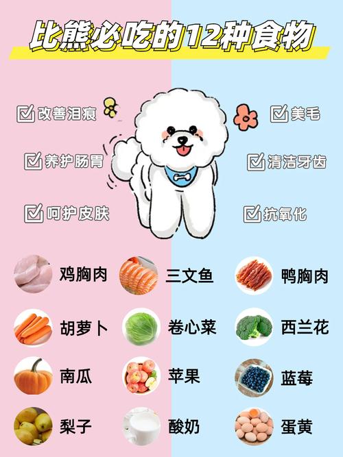 3个月比熊可以吃什么辅食,3个月比熊可以吃什么辅食呢-第1张图片 3个月比熊可以吃什么辅食,3个月比熊可以吃什么辅食呢-第1张图片