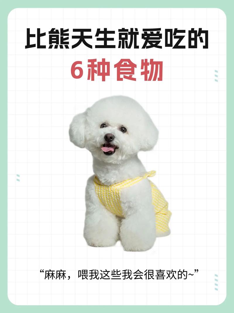 3个月比熊可以吃什么辅食,3个月比熊可以吃什么辅食呢-第2张图片 3个月比熊可以吃什么辅食,3个月比熊可以吃什么辅食呢-第2张图片
