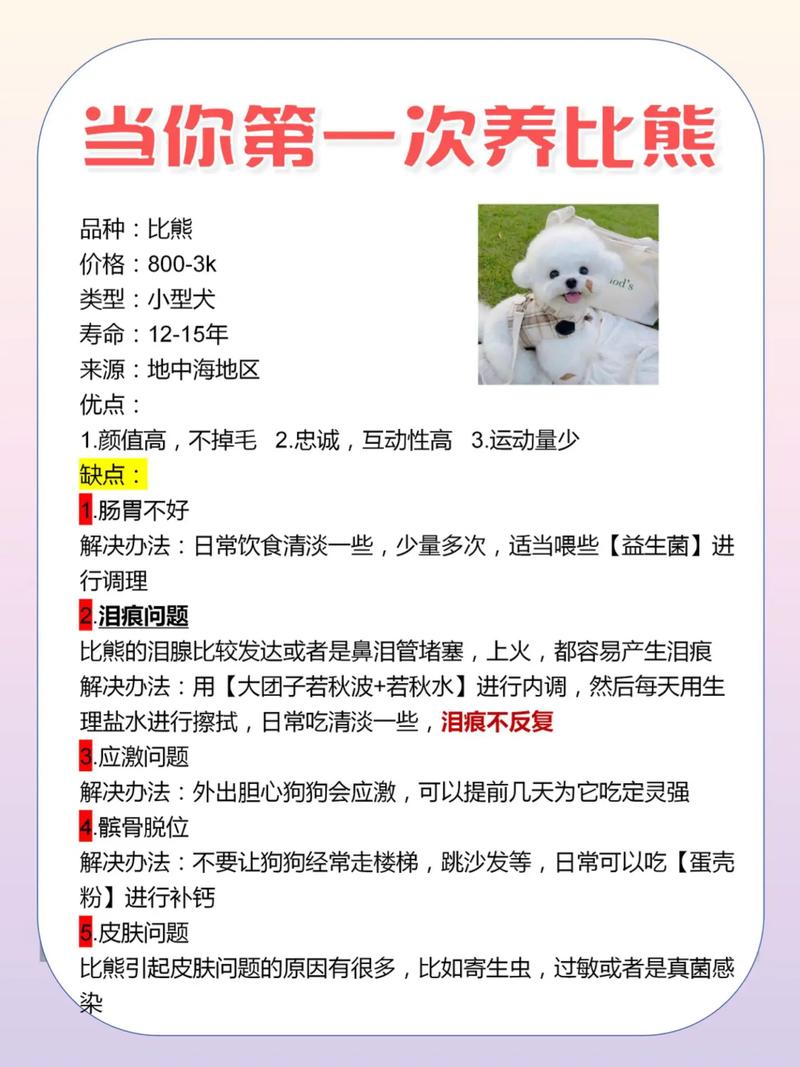 3个月比熊可以吃什么辅食,3个月比熊可以吃什么辅食呢-第6张图片 3个月比熊可以吃什么辅食,3个月比熊可以吃什么辅食呢-第6张图片
