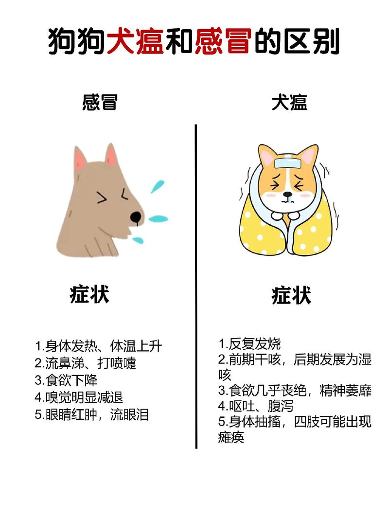 作为消费者“犬瘟热狗症状”你不能不知道-第8张图片 作为消费者“犬瘟热狗症状”你不能不知道-第8张图片