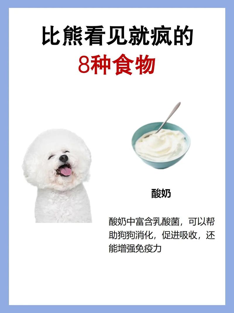 作为消费者“比熊吃些什么好”你不能不知道-第3张图片 作为消费者“比熊吃些什么好”你不能不知道-第3张图片
