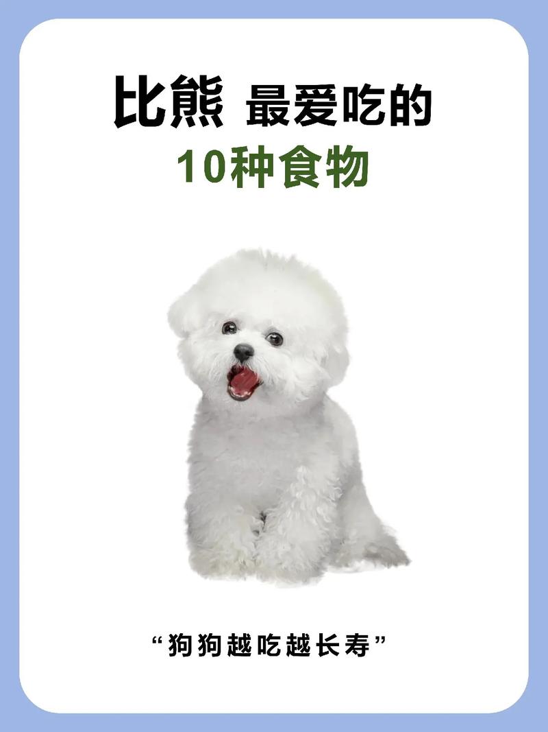 作为消费者“比熊吃些什么好”你不能不知道-第4张图片 作为消费者“比熊吃些什么好”你不能不知道-第4张图片