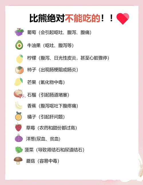 作为消费者“比熊吃些什么好”你不能不知道-第5张图片 作为消费者“比熊吃些什么好”你不能不知道-第5张图片