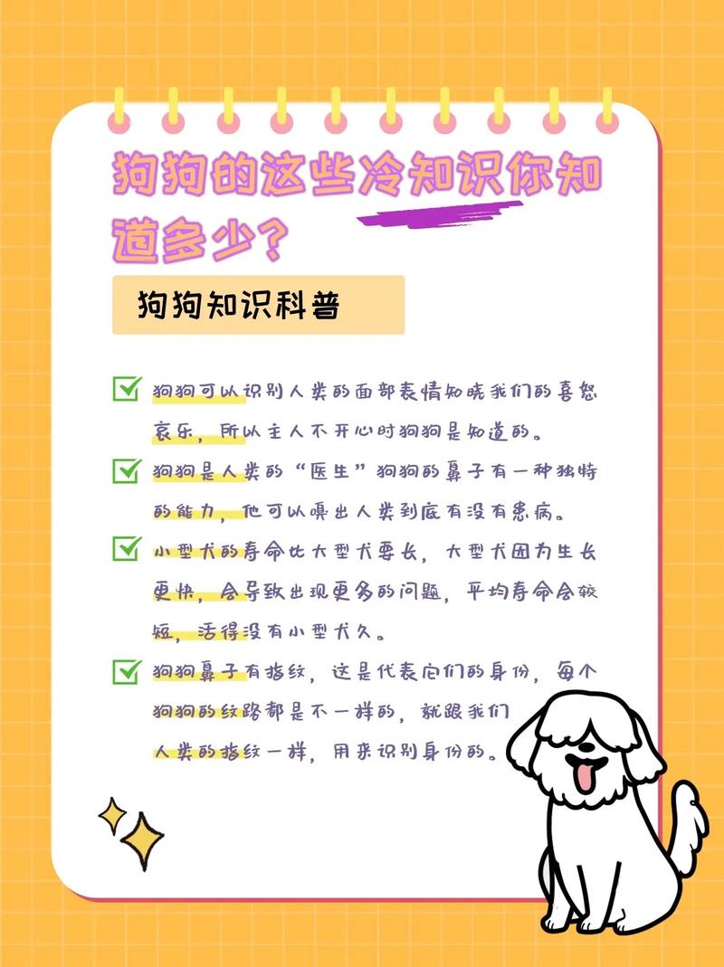 关于狗的冷知识，关于狗的小知识