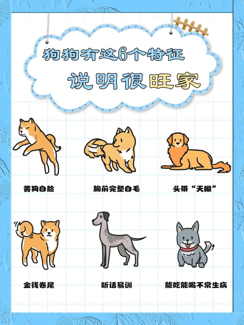 关于狗的冷知识,关于狗的小知识-第4张图片 关于狗的冷知识,关于狗的小知识-第4张图片