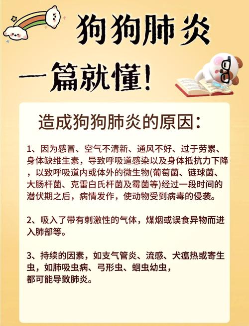 狗狗气管不好怎么办/狗狗气管不好怎么护理-第1张图片 狗狗气管不好怎么办/狗狗气管不好怎么护理-第1张图片
