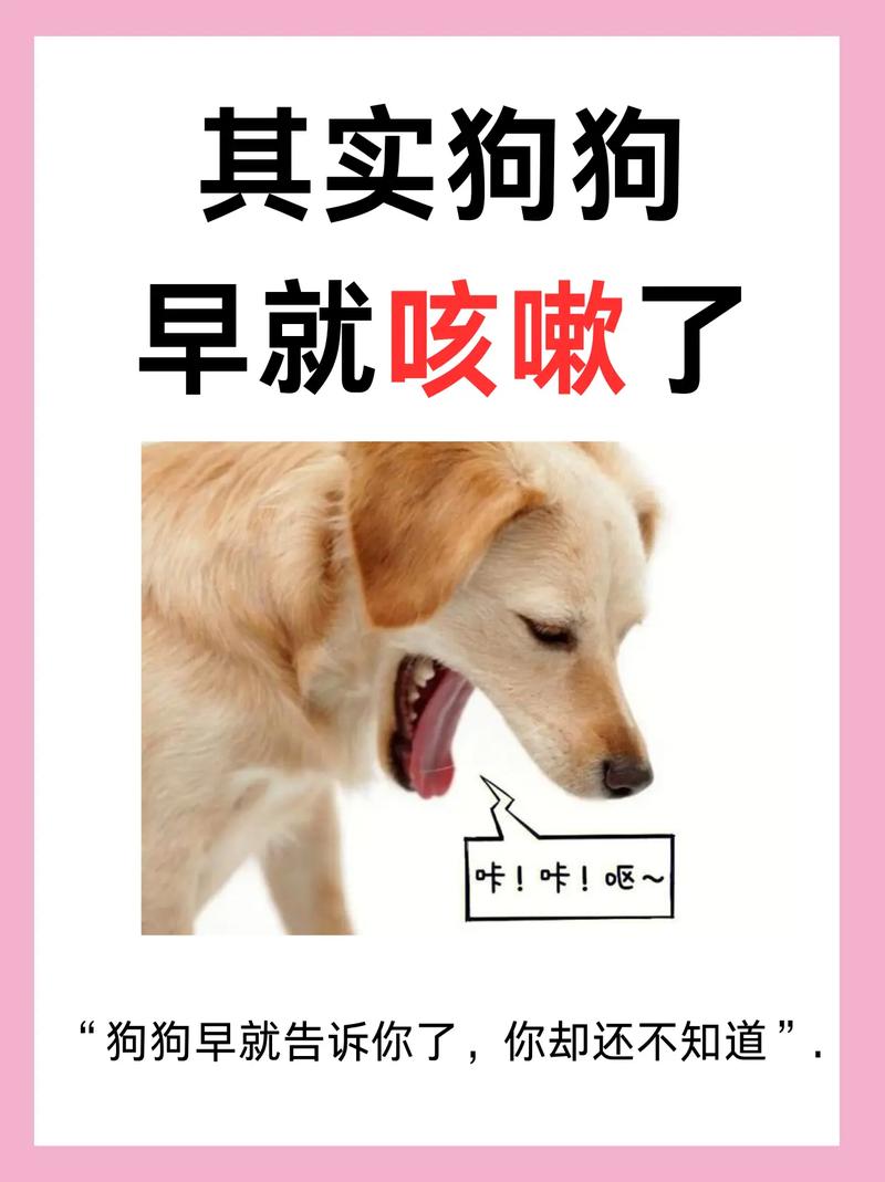 狗狗气管不好怎么办/狗狗气管不好怎么护理-第4张图片 狗狗气管不好怎么办/狗狗气管不好怎么护理-第4张图片