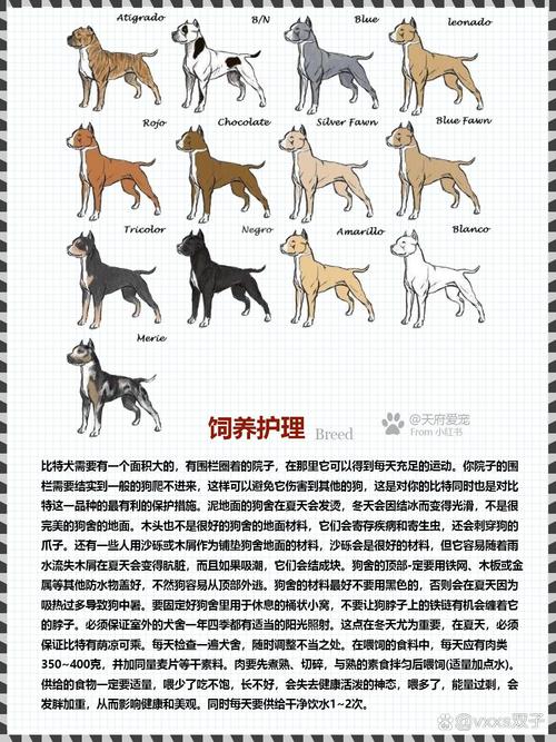 作为消费者“纯种比特犬幼崽多少钱一只”你不能不知道-第3张图片 作为消费者“纯种比特犬幼崽多少钱一只”你不能不知道-第3张图片
