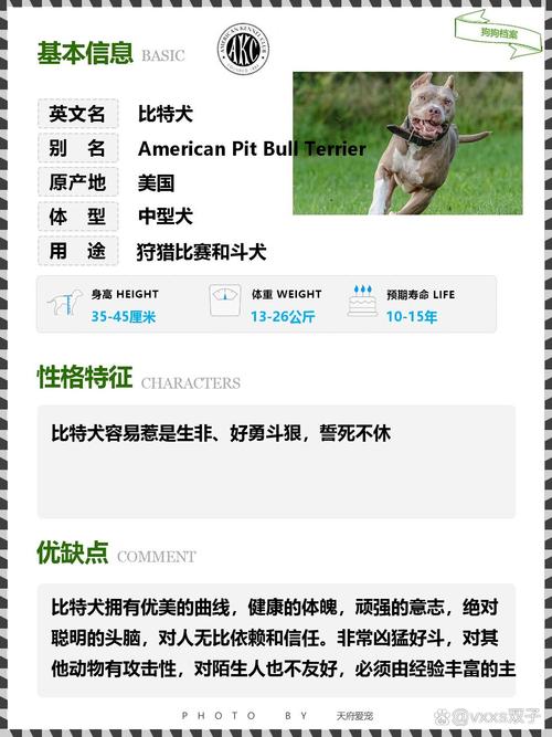 作为消费者“纯种比特犬幼崽多少钱一只”你不能不知道-第7张图片 作为消费者“纯种比特犬幼崽多少钱一只”你不能不知道-第7张图片
