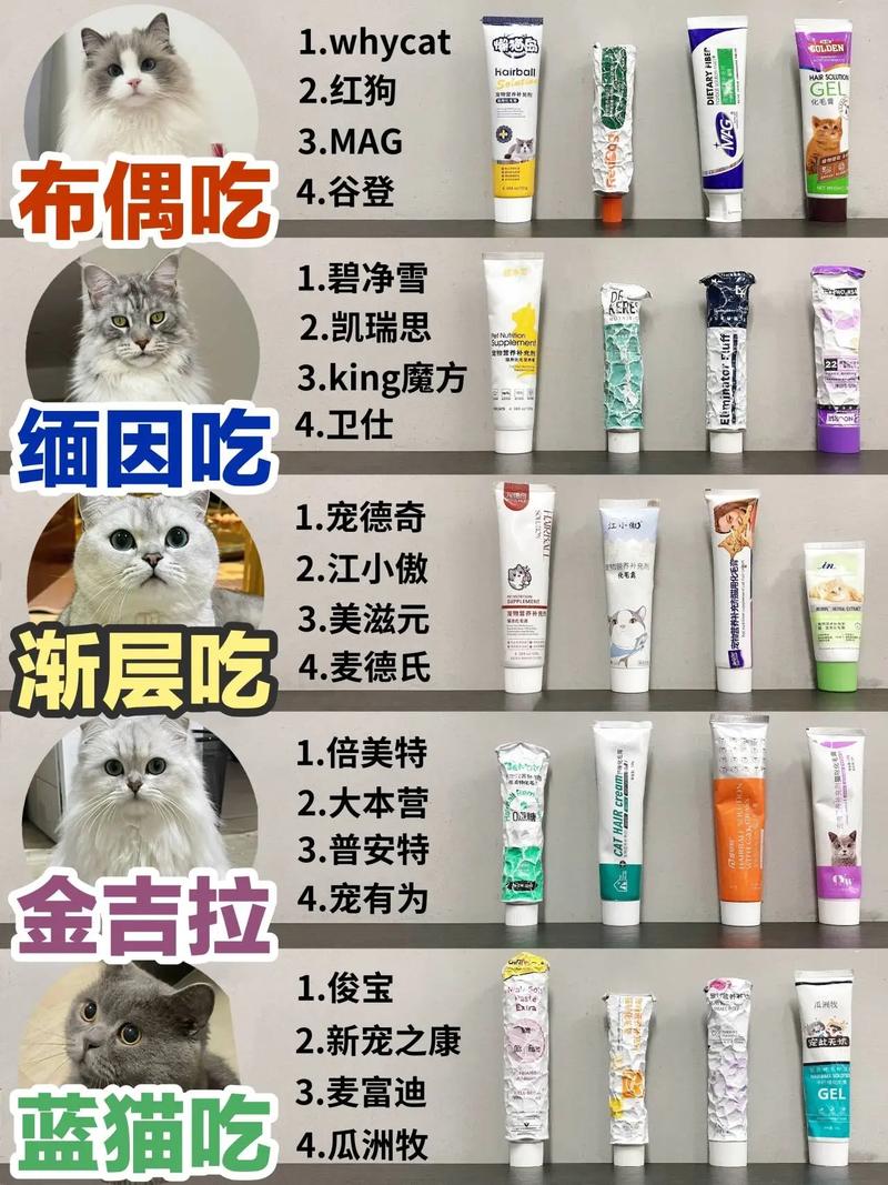 猫咪多大可以吃化毛膏/猫咪多大吃化毛膏多大驱虫-第4张图片 猫咪多大可以吃化毛膏/猫咪多大吃化毛膏多大驱虫-第4张图片