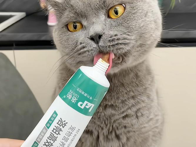 猫咪多大可以吃化毛膏/猫咪多大吃化毛膏多大驱虫-第8张图片 猫咪多大可以吃化毛膏/猫咪多大吃化毛膏多大驱虫-第8张图片