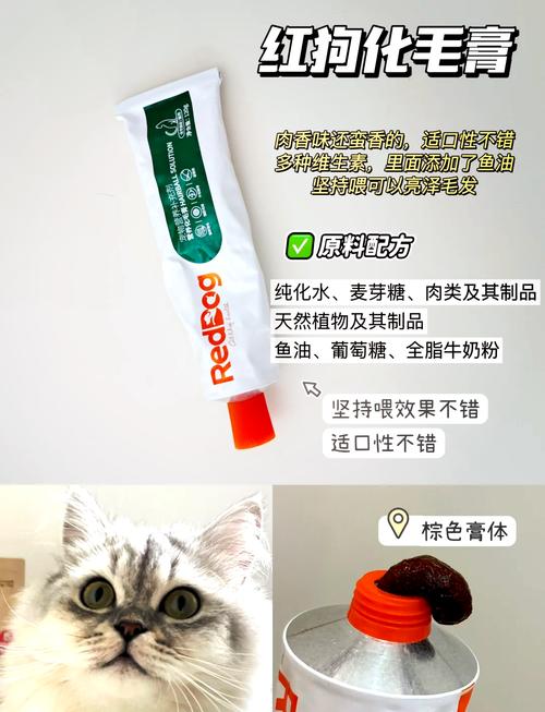 猫咪多大可以吃化毛膏/猫咪多大吃化毛膏多大驱虫-第9张图片 猫咪多大可以吃化毛膏/猫咪多大吃化毛膏多大驱虫-第9张图片
