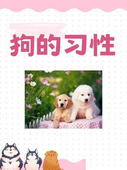 狗的本领有哪些,狗的本领有哪些一年级-第5张图片 狗的本领有哪些,狗的本领有哪些一年级-第5张图片