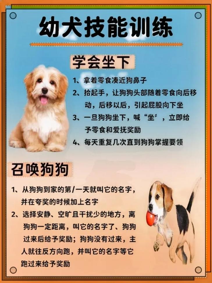 狗的本领有哪些,狗的本领有哪些一年级-第6张图片 狗的本领有哪些,狗的本领有哪些一年级-第6张图片