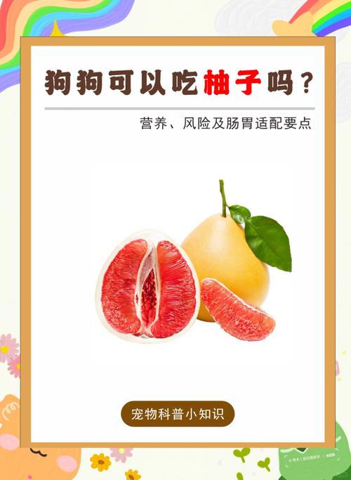 解析“狗能吃柚子吗”你不知道的事-第2张图片 解析“狗能吃柚子吗”你不知道的事-第2张图片