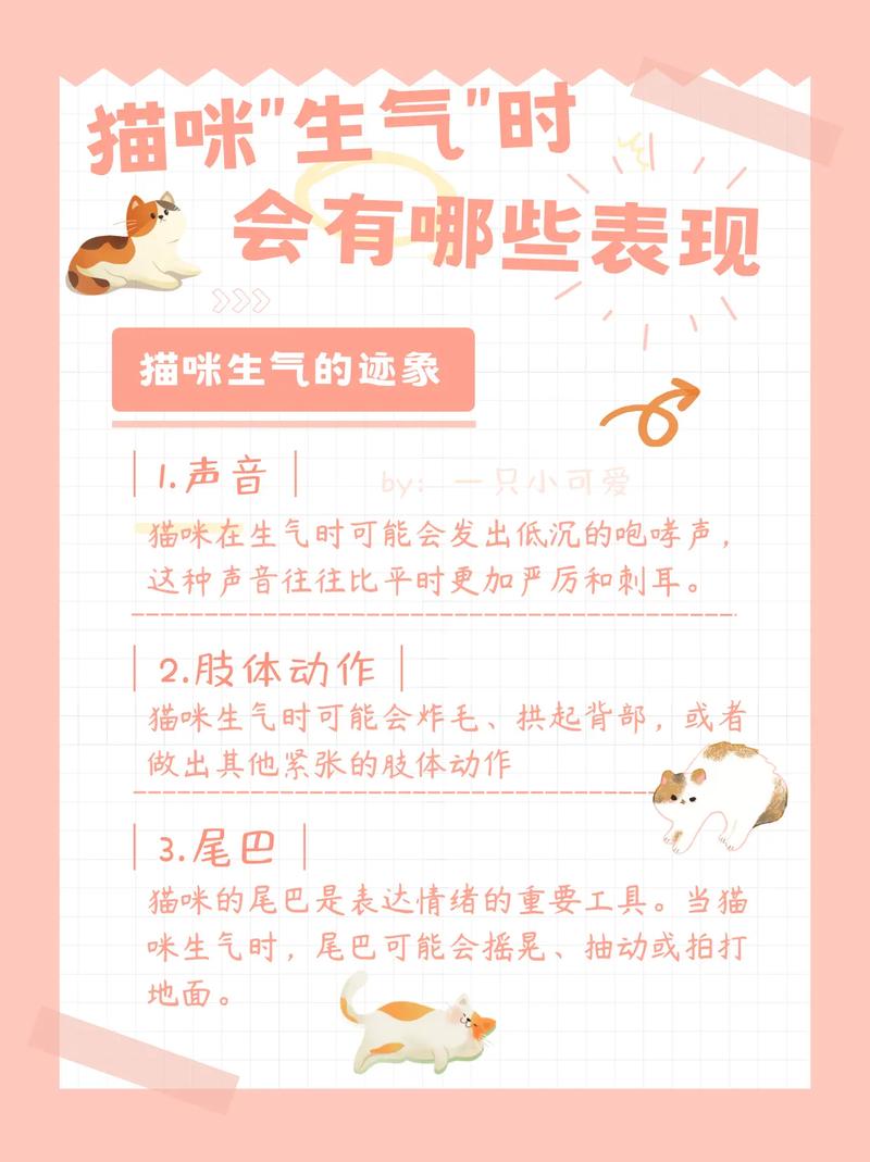 解析“猫咪生气的表现”你不知道的事-第4张图片 解析“猫咪生气的表现”你不知道的事-第4张图片