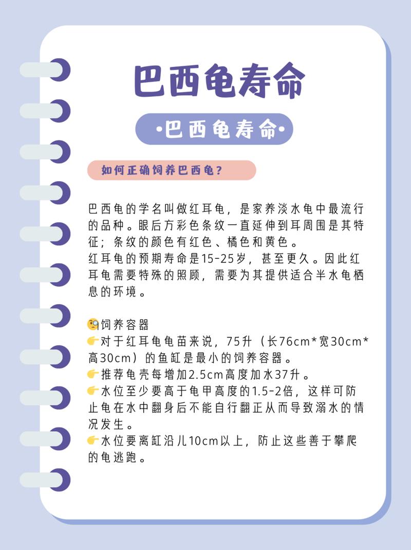 红耳龟的寿命-红耳龟的寿命是多少-第6张图片 红耳龟的寿命-红耳龟的寿命是多少-第6张图片