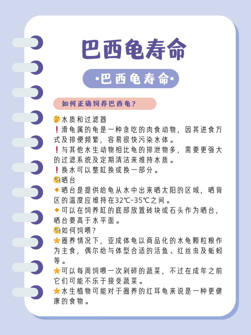 红耳龟的寿命-红耳龟的寿命是多少-第7张图片 红耳龟的寿命-红耳龟的寿命是多少-第7张图片