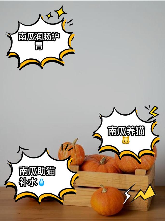 猫咪可以吃南瓜吗-猫咪可以吃南瓜吗熟的