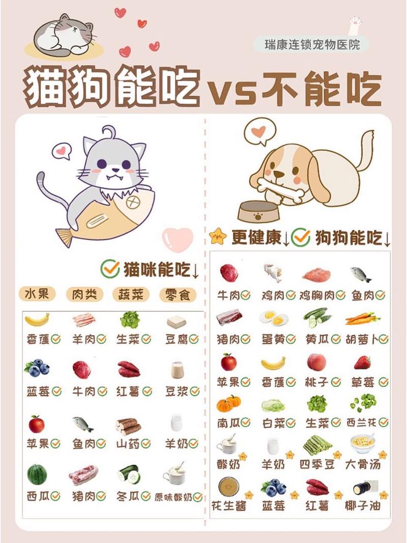 猫咪可以吃南瓜吗-猫咪可以吃南瓜吗熟的-第7张图片 猫咪可以吃南瓜吗-猫咪可以吃南瓜吗熟的-第7张图片