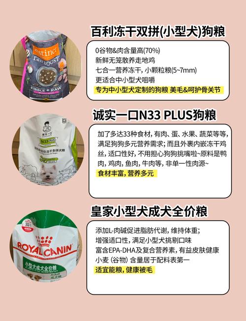 解析“吉娃娃吃什么东西”你不知道的事-第7张图片 解析“吉娃娃吃什么东西”你不知道的事-第7张图片