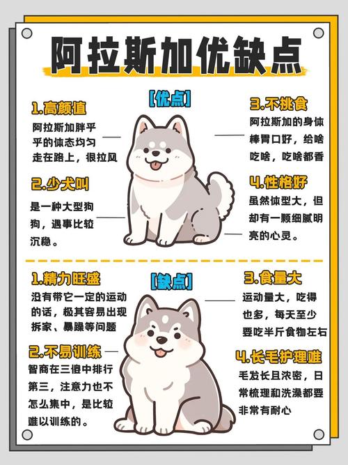 作为消费者“阿拉斯加犬幼犬巨型”你不能不知道-第1张图片 作为消费者“阿拉斯加犬幼犬巨型”你不能不知道-第1张图片