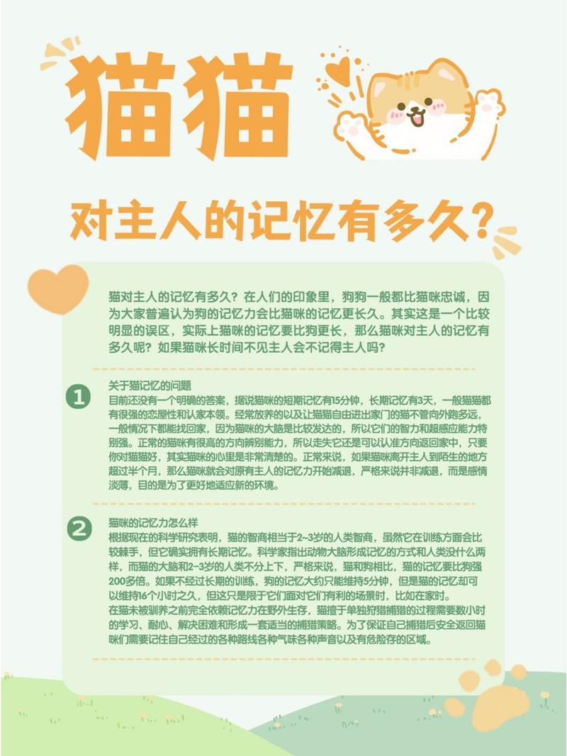 猫的记忆,猫的记忆好不好-第4张图片 猫的记忆,猫的记忆好不好-第4张图片