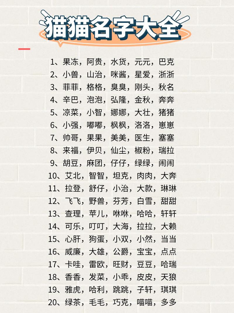 洋气的猫咪名字-好听洋气的猫猫名字大全-第1张图片 洋气的猫咪名字-好听洋气的猫猫名字大全-第1张图片