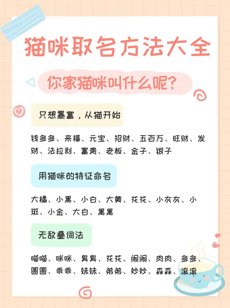 洋气的猫咪名字-好听洋气的猫猫名字大全-第3张图片 洋气的猫咪名字-好听洋气的猫猫名字大全-第3张图片