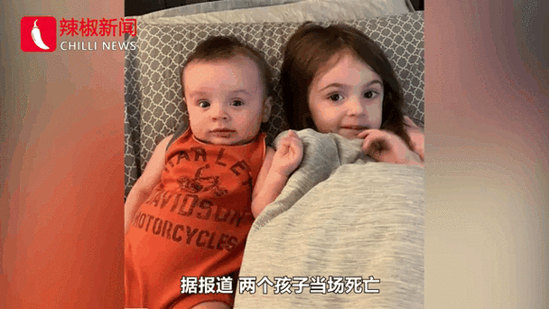 皮特犬和比特犬是一种吗,皮特犬图片-第4张图片 皮特犬和比特犬是一种吗,皮特犬图片-第4张图片
