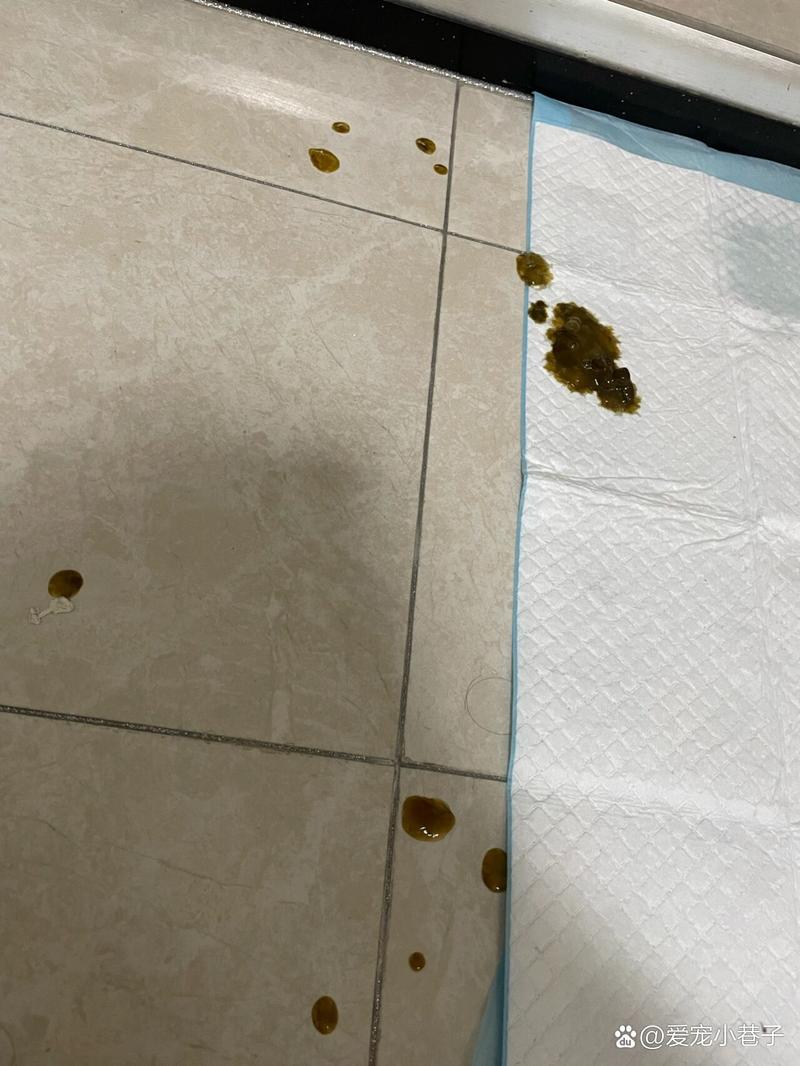 狗狗吃驱虫药拉稀几天，狗狗吃驱虫药拉稀了