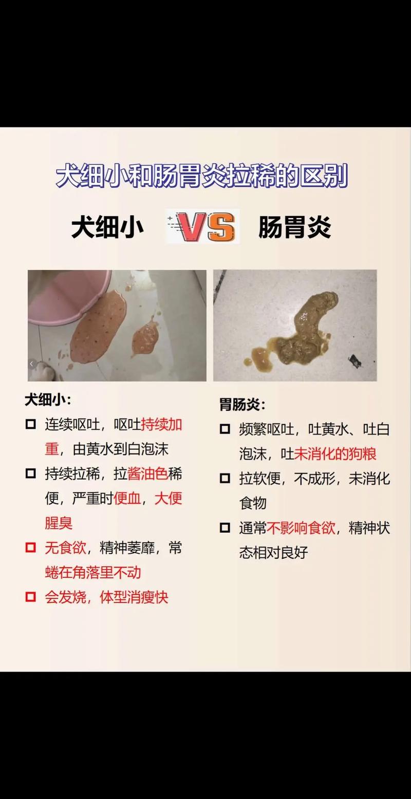 狗狗吃驱虫药拉稀几天,狗狗吃驱虫药拉稀了-第4张图片 狗狗吃驱虫药拉稀几天,狗狗吃驱虫药拉稀了-第4张图片