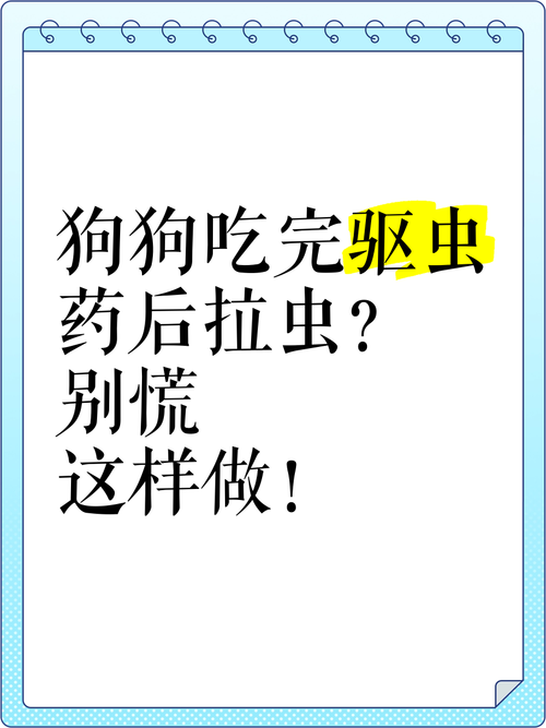 狗狗吃驱虫药拉稀几天,狗狗吃驱虫药拉稀了-第7张图片 狗狗吃驱虫药拉稀几天,狗狗吃驱虫药拉稀了-第7张图片