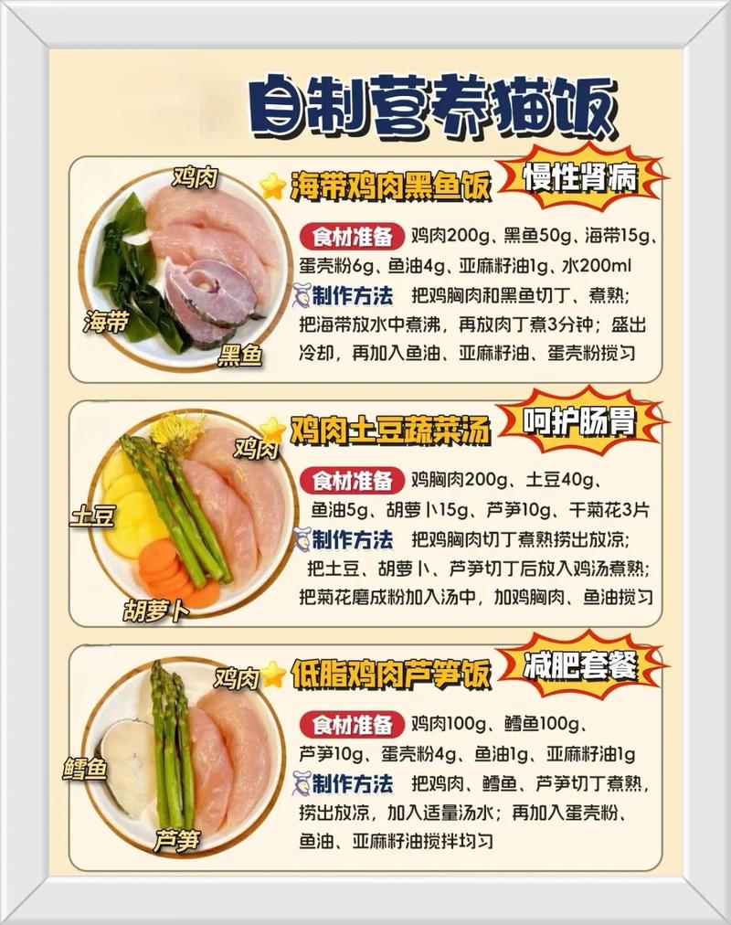 作为消费者“怎么给猫咪做饭”你不能不知道-第6张图片 作为消费者“怎么给猫咪做饭”你不能不知道-第6张图片