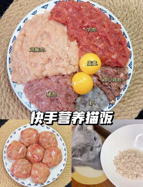 作为消费者“怎么给猫咪做饭”你不能不知道-第8张图片 作为消费者“怎么给猫咪做饭”你不能不知道-第8张图片