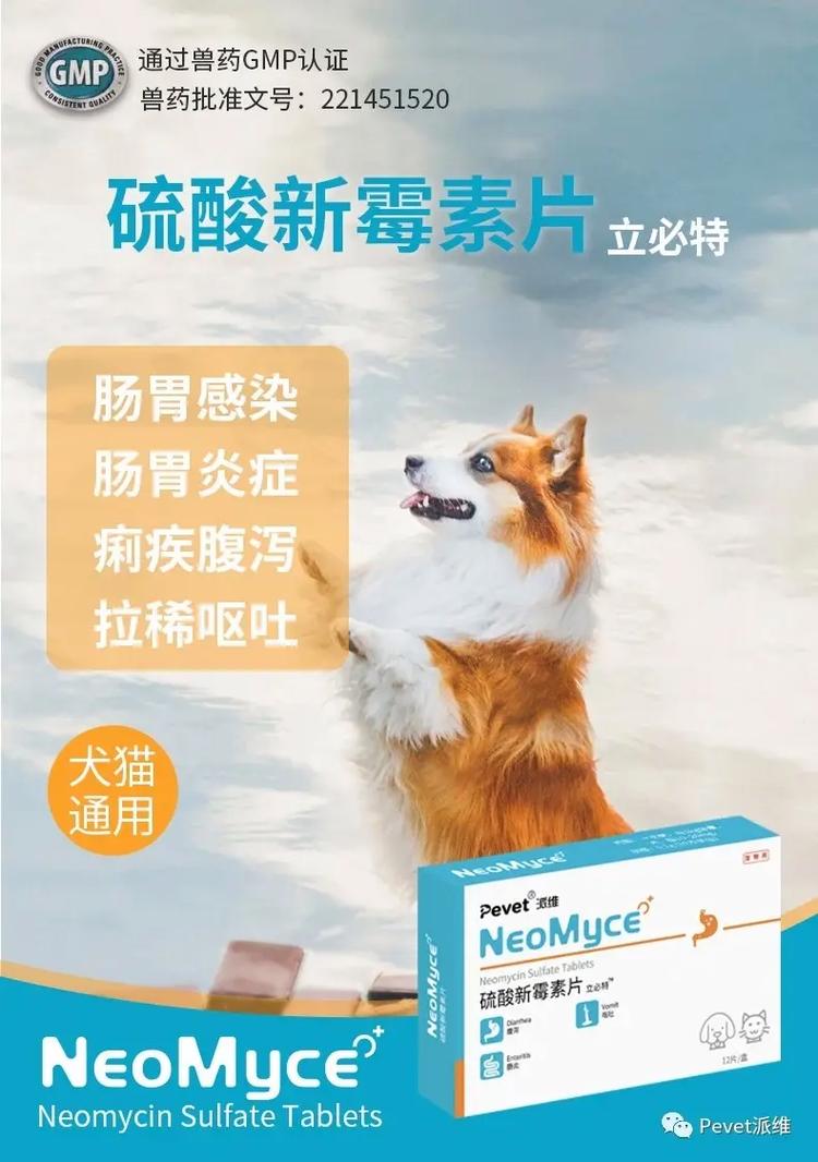 狗狗呼吸道感染怎么治,狗狗呼吸道感染怎么治疗好得快-第1张图片 狗狗呼吸道感染怎么治,狗狗呼吸道感染怎么治疗好得快-第1张图片
