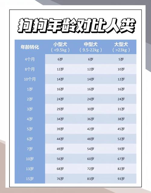 宠物狗的寿命多长时间-宠物狗的寿命一般是多少年