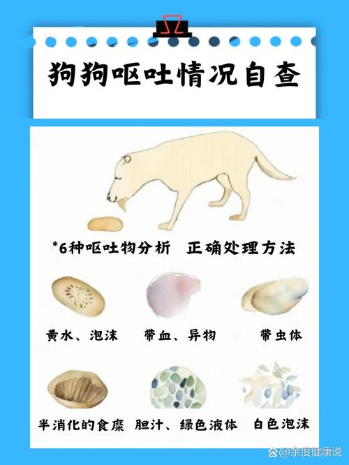 解析“狗狗呕吐没精神是怎么回事”你不知道的事-第2张图片 解析“狗狗呕吐没精神是怎么回事”你不知道的事-第2张图片