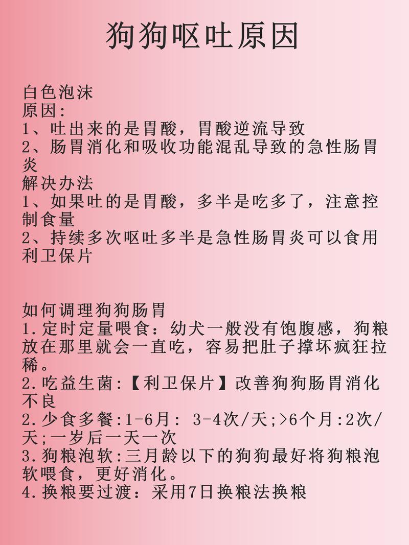 解析“狗狗呕吐没精神是怎么回事”你不知道的事-第5张图片 解析“狗狗呕吐没精神是怎么回事”你不知道的事-第5张图片