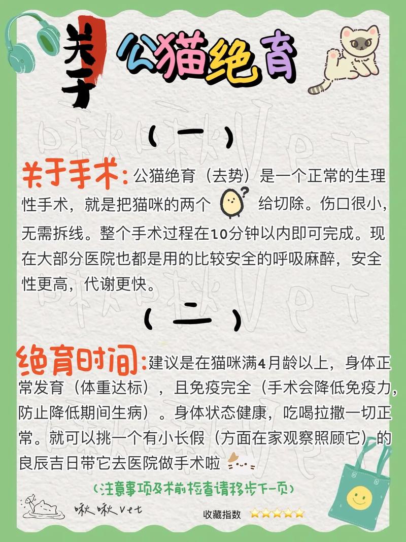 猫咪几个月可以绝育-猫咪几个月可以绝育多少钱-第2张图片 猫咪几个月可以绝育-猫咪几个月可以绝育多少钱-第2张图片
