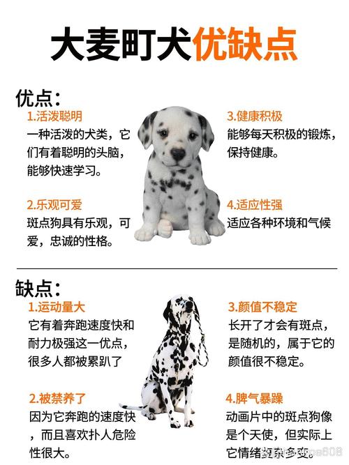 大麦町犬-大麦町犬怎么读