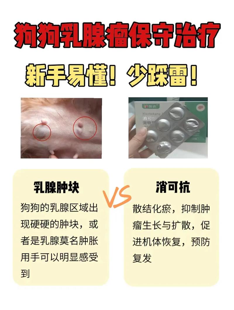 狗狗得乳腺瘤怎么办/狗得了乳腺肿瘤治疗的方法-第6张图片 狗狗得乳腺瘤怎么办/狗得了乳腺肿瘤治疗的方法-第6张图片