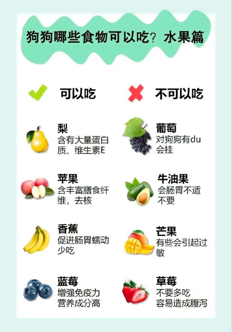 解析“狗能吃百香果吗”你不知道的事-第2张图片 解析“狗能吃百香果吗”你不知道的事-第2张图片