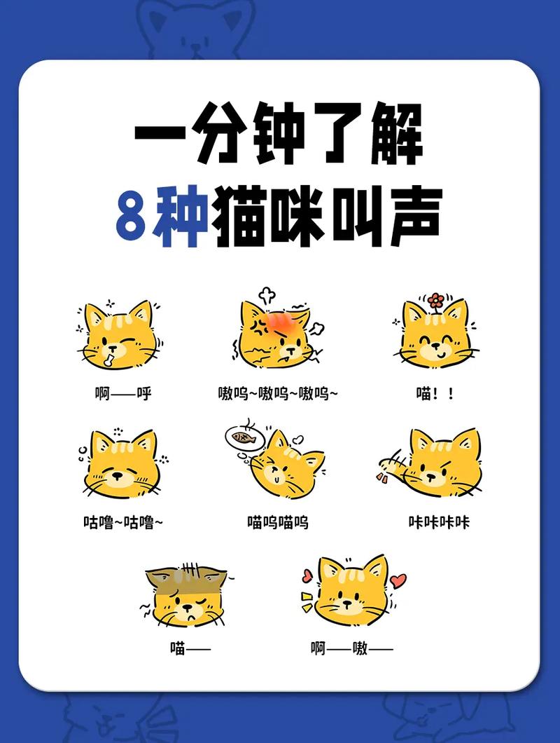 解析“猫咪叫声的含义大全”你不知道的事-第1张图片 解析“猫咪叫声的含义大全”你不知道的事-第1张图片