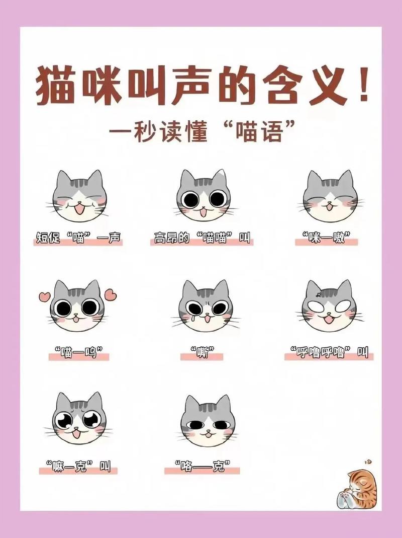 解析“猫咪叫声的含义大全”你不知道的事-第6张图片 解析“猫咪叫声的含义大全”你不知道的事-第6张图片