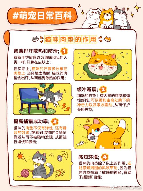 猫的肉垫,猫的肉垫是黑色的说明什么-第1张图片 猫的肉垫,猫的肉垫是黑色的说明什么-第1张图片
