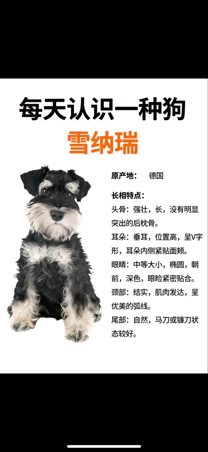 作为消费者“柯基聪明还是雪纳瑞聪明”你不能不知道-第4张图片 作为消费者“柯基聪明还是雪纳瑞聪明”你不能不知道-第4张图片