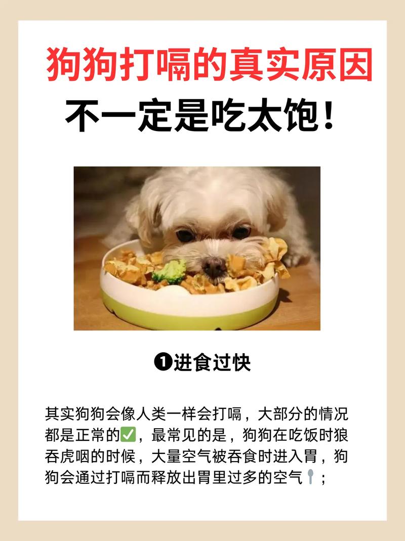 作为消费者“狗打嗝”你不能不知道-第2张图片 作为消费者“狗打嗝”你不能不知道-第2张图片