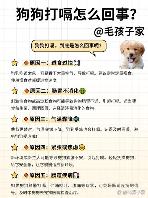 作为消费者“狗打嗝”你不能不知道-第6张图片 作为消费者“狗打嗝”你不能不知道-第6张图片
